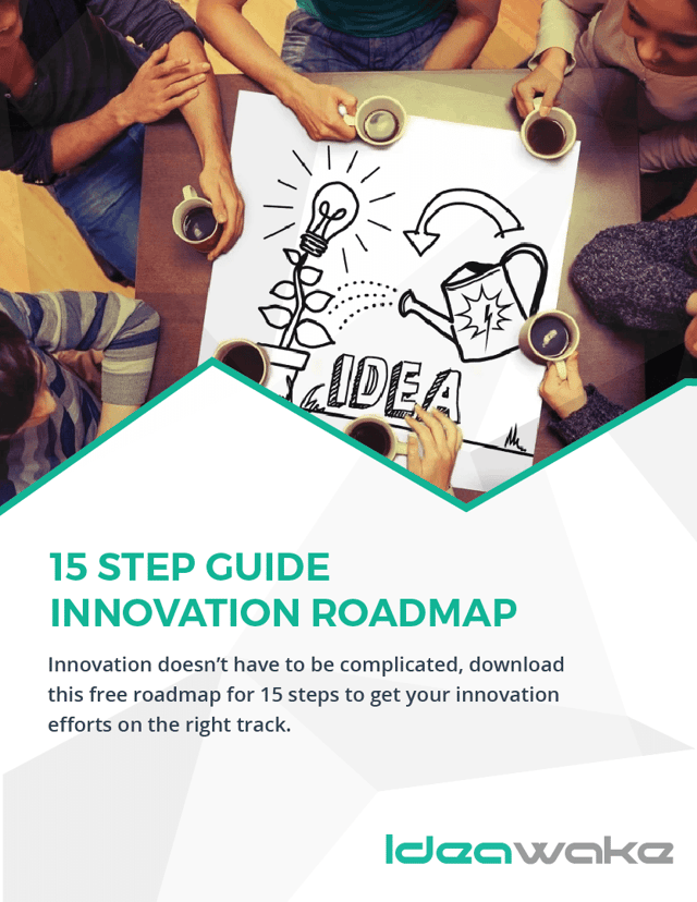 15 Step SelfGuided Innovation Roadmap